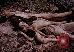 Image of atrocity victims Tinian Island Mariana Islands, 1944, second 24 stock footage video 65675050865