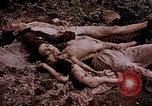 Image of atrocity victims Tinian Island Mariana Islands, 1944, second 25 stock footage video 65675050865