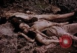 Image of atrocity victims Tinian Island Mariana Islands, 1944, second 26 stock footage video 65675050865