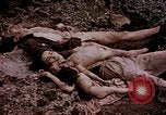Image of atrocity victims Tinian Island Mariana Islands, 1944, second 27 stock footage video 65675050865