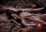 Image of atrocity victims Tinian Island Mariana Islands, 1944, second 29 stock footage video 65675050865