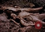Image of atrocity victims Tinian Island Mariana Islands, 1944, second 30 stock footage video 65675050865