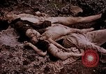 Image of atrocity victims Tinian Island Mariana Islands, 1944, second 31 stock footage video 65675050865