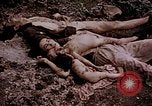 Image of atrocity victims Tinian Island Mariana Islands, 1944, second 34 stock footage video 65675050865