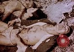 Image of atrocity victims Tinian Island Mariana Islands, 1944, second 37 stock footage video 65675050865