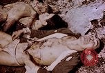 Image of atrocity victims Tinian Island Mariana Islands, 1944, second 38 stock footage video 65675050865