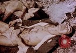 Image of atrocity victims Tinian Island Mariana Islands, 1944, second 39 stock footage video 65675050865