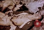 Image of atrocity victims Tinian Island Mariana Islands, 1944, second 40 stock footage video 65675050865