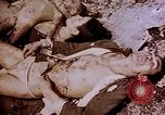 Image of atrocity victims Tinian Island Mariana Islands, 1944, second 42 stock footage video 65675050865