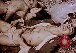 Image of atrocity victims Tinian Island Mariana Islands, 1944, second 43 stock footage video 65675050865