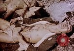 Image of atrocity victims Tinian Island Mariana Islands, 1944, second 44 stock footage video 65675050865
