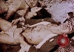 Image of atrocity victims Tinian Island Mariana Islands, 1944, second 46 stock footage video 65675050865
