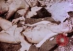 Image of atrocity victims Tinian Island Mariana Islands, 1944, second 47 stock footage video 65675050865