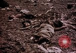 Image of atrocity victims Tinian Island Mariana Islands, 1944, second 54 stock footage video 65675050865