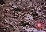 Image of atrocity victims Tinian Island Mariana Islands, 1944, second 55 stock footage video 65675050865