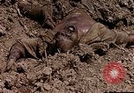 Image of American marines Saipan Northern Mariana Islands, 1944, second 25 stock footage video 65675050867