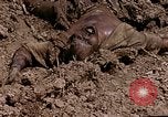Image of American marines Saipan Northern Mariana Islands, 1944, second 27 stock footage video 65675050867