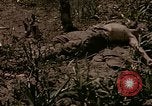 Image of American marines Saipan Northern Mariana Islands, 1944, second 29 stock footage video 65675050867