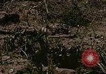 Image of American marines Saipan Northern Mariana Islands, 1944, second 32 stock footage video 65675050867