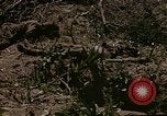Image of American marines Saipan Northern Mariana Islands, 1944, second 33 stock footage video 65675050867