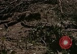 Image of American marines Saipan Northern Mariana Islands, 1944, second 34 stock footage video 65675050867