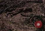 Image of American marines Saipan Northern Mariana Islands, 1944, second 35 stock footage video 65675050867