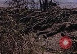 Image of American marines Saipan Northern Mariana Islands, 1944, second 37 stock footage video 65675050867