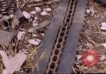 Image of invasion of Saipan Saipan Northern Mariana Islands, 1944, second 21 stock footage video 65675050868