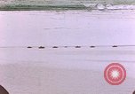 Standbild Amerikanischen marines sichere Saipan in Zweiten Weltkrieg Saipan Nördliche Marianen, 1944, aus Sekunde 1 historischem Filmmaterial Videoclip 65675050869