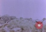 Image of American infantry searching hideouts on Saipan for Japanese soldiers Saipan Northern Mariana Islands, 1944, second 1 stock footage video 65675050872
