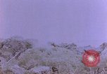Image of American infantry searching hideouts on Saipan for Japanese soldiers Saipan Northern Mariana Islands, 1944, second 4 stock footage video 65675050872