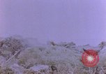 Image of American infantry searching hideouts on Saipan for Japanese soldiers Saipan Northern Mariana Islands, 1944, second 5 stock footage video 65675050872