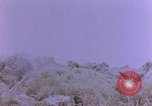 Image of American infantry searching hideouts on Saipan for Japanese soldiers Saipan Northern Mariana Islands, 1944, second 6 stock footage video 65675050872