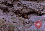 Image of American infantry searching hideouts on Saipan for Japanese soldiers Saipan Northern Mariana Islands, 1944, second 8 stock footage video 65675050872