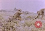 Image of American infantry searching hideouts on Saipan for Japanese soldiers Saipan Northern Mariana Islands, 1944, second 50 stock footage video 65675050872