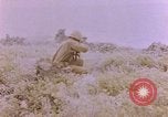 Image of American infantry searching hideouts on Saipan for Japanese soldiers Saipan Northern Mariana Islands, 1944, second 51 stock footage video 65675050872