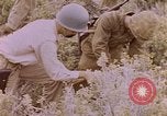 Image of American infantry searching hideouts on Saipan for Japanese soldiers Saipan Northern Mariana Islands, 1944, second 53 stock footage video 65675050872