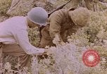 Image of American infantry searching hideouts on Saipan for Japanese soldiers Saipan Northern Mariana Islands, 1944, second 54 stock footage video 65675050872