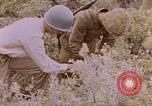 Image of American infantry searching hideouts on Saipan for Japanese soldiers Saipan Northern Mariana Islands, 1944, second 55 stock footage video 65675050872