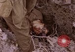 Image of American infantry searching hideouts on Saipan for Japanese soldiers Saipan Northern Mariana Islands, 1944, second 59 stock footage video 65675050872