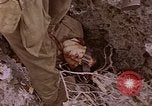Image of American infantry searching hideouts on Saipan for Japanese soldiers Saipan Northern Mariana Islands, 1944, second 60 stock footage video 65675050872