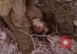 Image of American infantry searching hideouts on Saipan for Japanese soldiers Saipan Northern Mariana Islands, 1944, second 61 stock footage video 65675050872