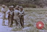 Image of Japanese prisoners and civilians Saipan Northern Mariana Islands, 1944, second 35 stock footage video 65675050875