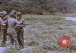 Image of Japanese prisoners and civilians Saipan Northern Mariana Islands, 1944, second 36 stock footage video 65675050875