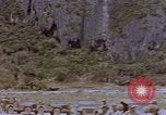 Image of Japanese prisoners and civilians Saipan Northern Mariana Islands, 1944, second 59 stock footage video 65675050875