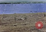 Image of Japanese prisoners and civilians Saipan Northern Mariana Islands, 1944, second 1 stock footage video 65675050876