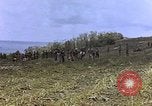 Image of Japanese prisoners and civilians Saipan Northern Mariana Islands, 1944, second 27 stock footage video 65675050876