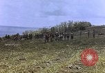 Image of Japanese prisoners and civilians Saipan Northern Mariana Islands, 1944, second 28 stock footage video 65675050876