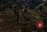 Image of Japanese prisoners and civilians Saipan Northern Mariana Islands, 1944, second 55 stock footage video 65675050876