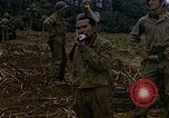 Image of Japanese prisoners and civilians Saipan Northern Mariana Islands, 1944, second 57 stock footage video 65675050876